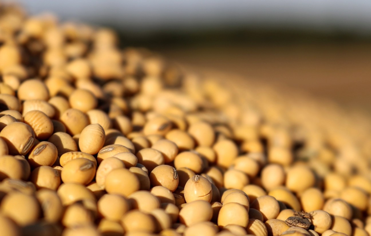 Soybean Stunner How a Con Artist Pulled the Greatest Agriculture Heist